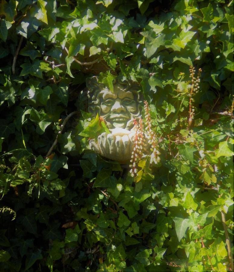 Green Man Yurt Penela Esterno foto