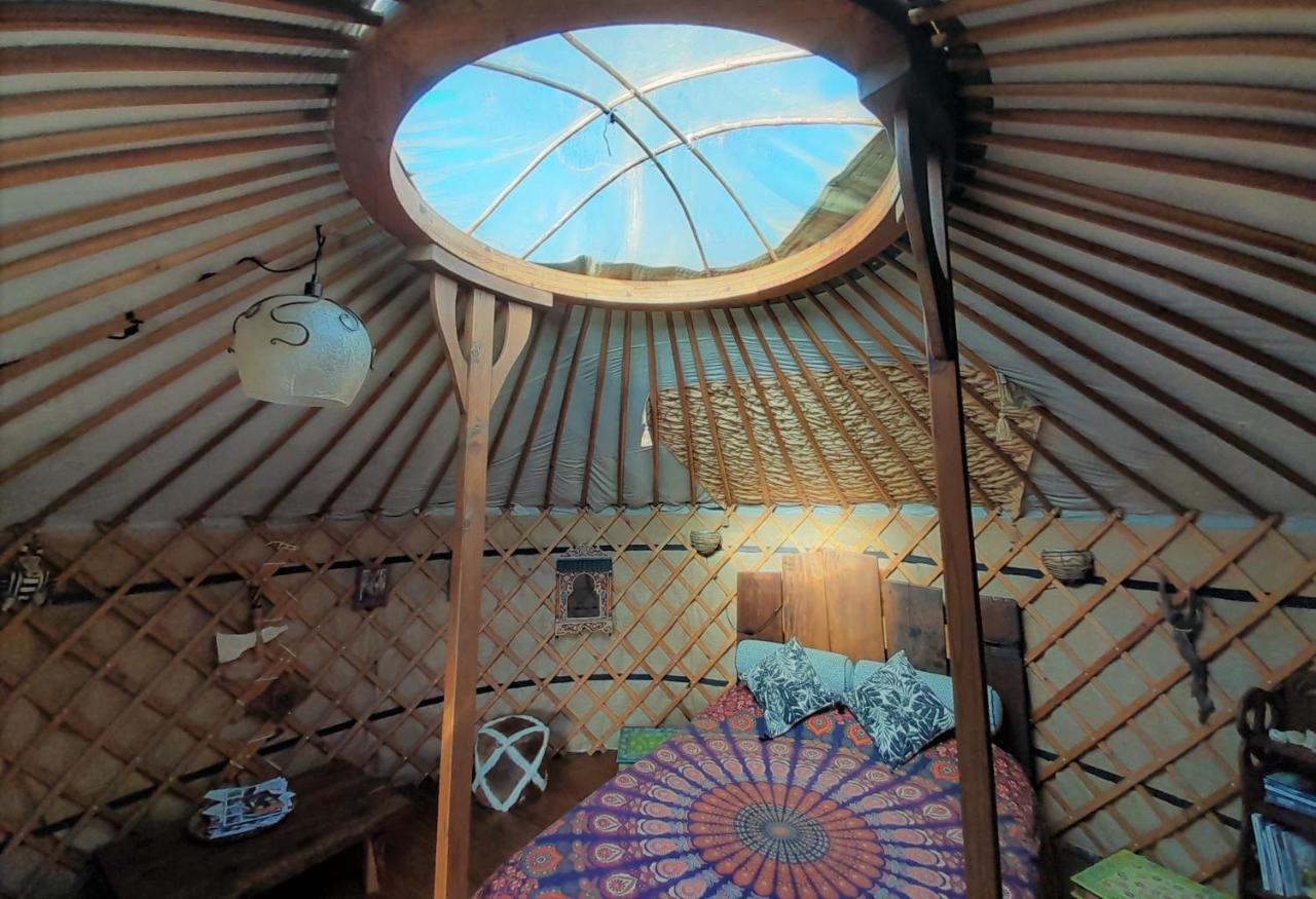Green Man Yurt Penela Esterno foto